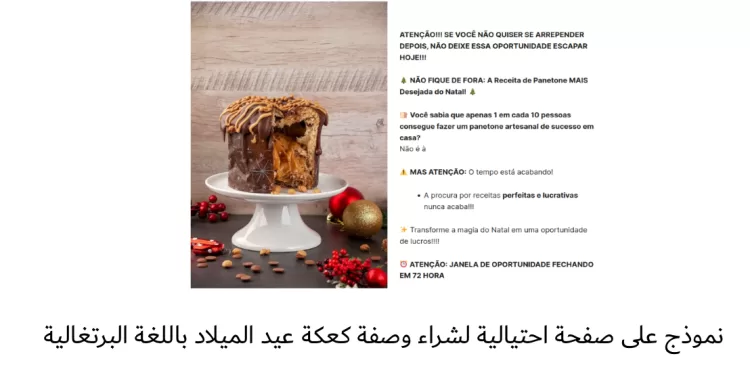 خبراء كاسبرسكي يحذّرون من عمليّات الاحتيال المتطوّرة في موسم العطلات 7 | جريدة الجمهورية